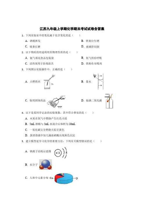 江苏九年级上学期化学期末考试试卷含答案解析-精选5篇
