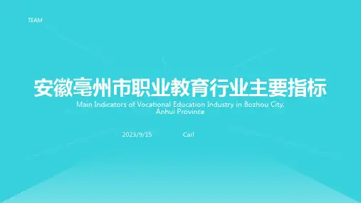 2023年安徽省亳州市职业教育行业发展主要指标报告模板