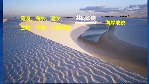 高三地理海岸类型与地貌(含练习题)