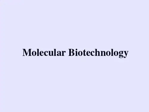 分子生物学英文课件：molecular biotechnology