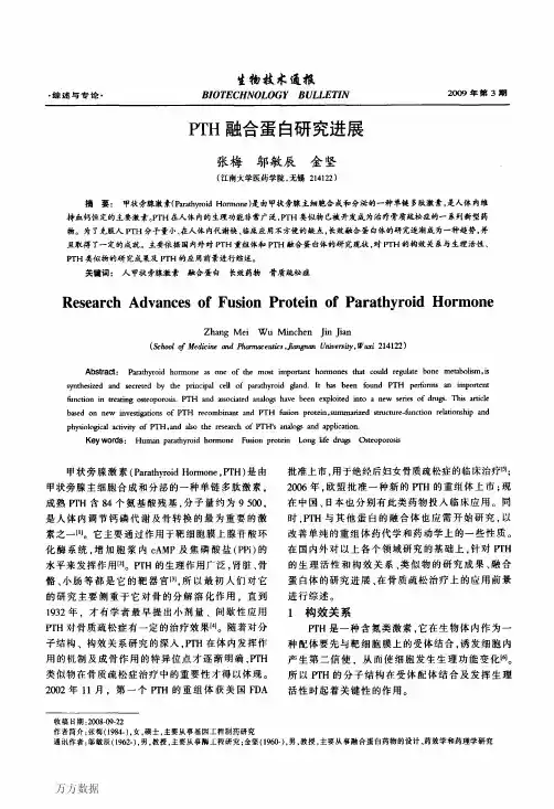 PTH融合蛋白研究进展