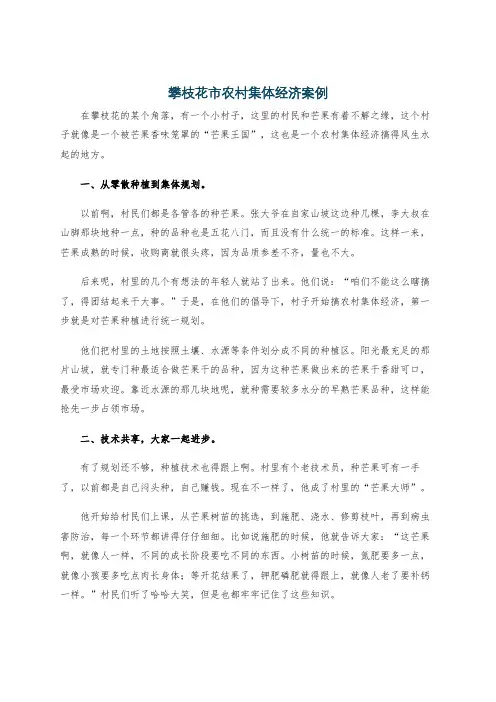 攀枝花市农村集体经济案例