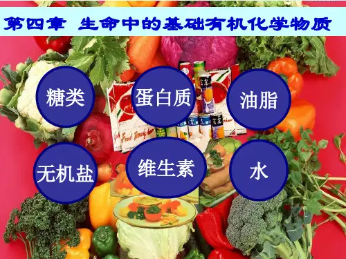 人教版化学《油脂》精美课件