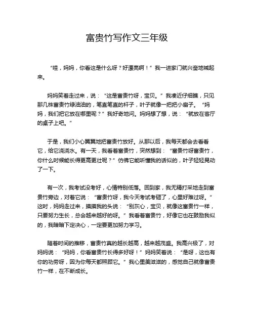 富贵竹写作文三年级