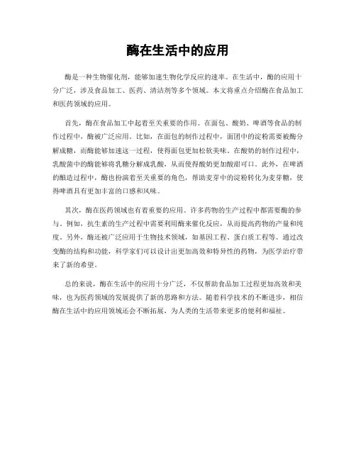 酶在生活中的应用