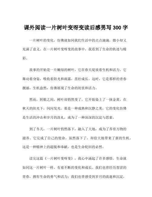 课外阅读一片树叶变呀变读后感男写300字