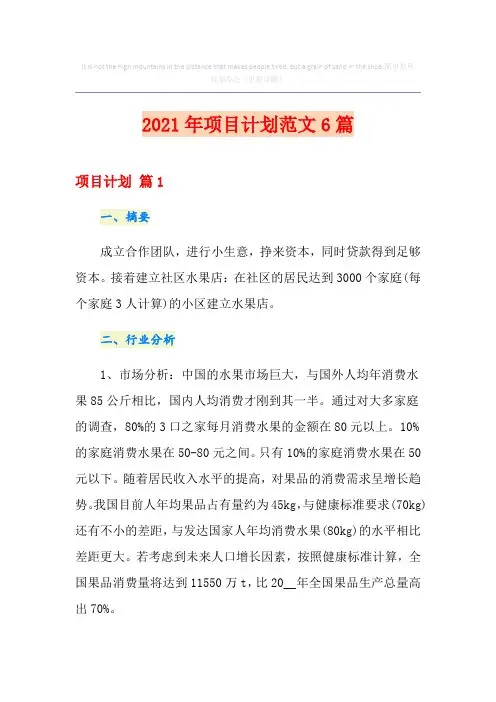 (精编)2021年项目计划范文6篇