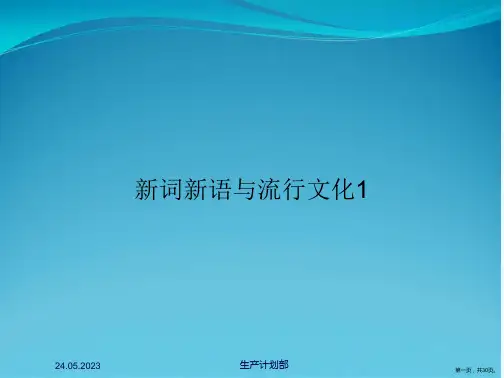 新词新语与流行文化1