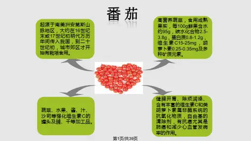 番茄栽培技术PPT课件