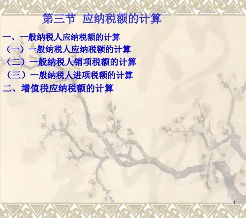 第三节增值税应纳税额的计算47页PPT