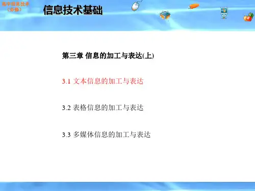 文本信息的加工与表达-完整版PPT课件