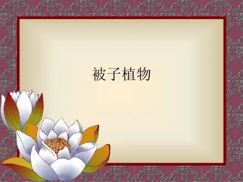 被子植物