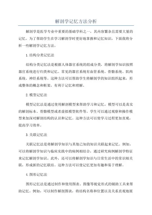 解剖学记忆方法分析