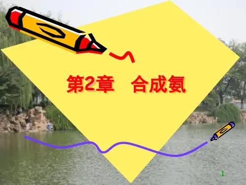 化学工艺学第2章合成氨
