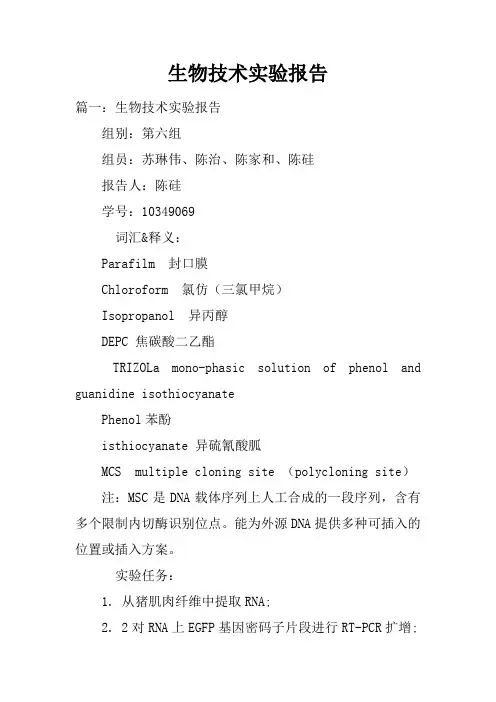 生物技术实验报告doc