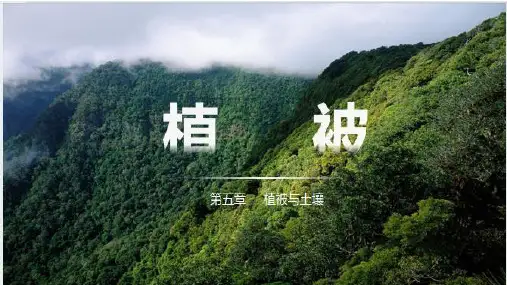 5.1植被课件(共40张PPT)高中地理人教版(2019)必修第一册