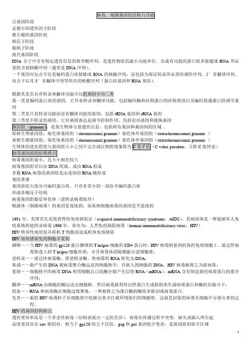 医学分子生物学(新)重点知识大全