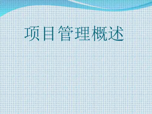 项目管理概述(PPT 82页)