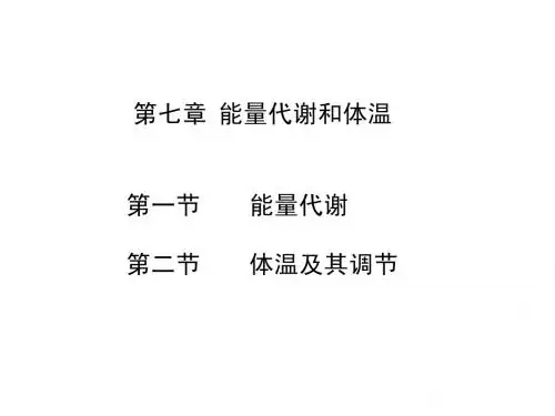 生理能量代谢 课件