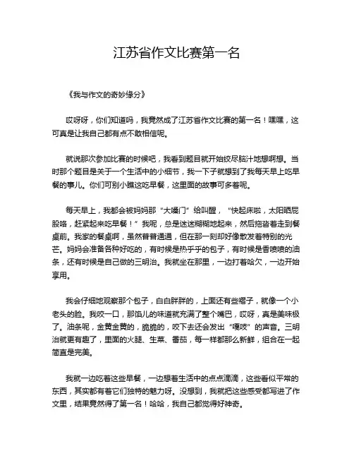 江苏省作文比赛第一名