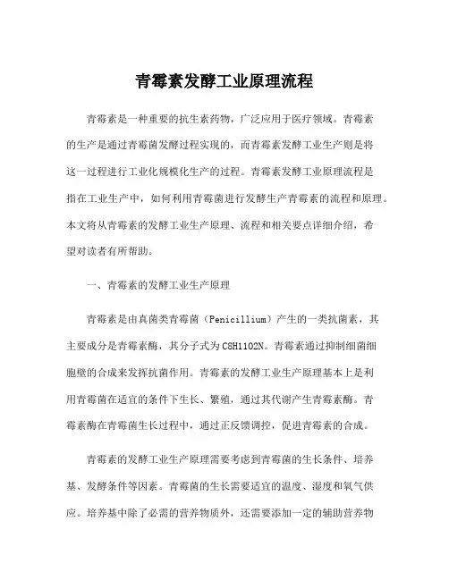 青霉素发酵工业原理流程