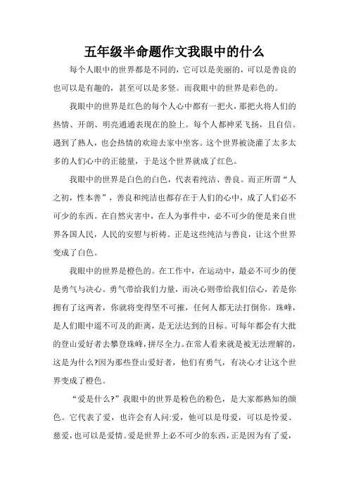 五年级半命题作文我眼中的什么
