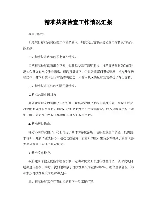 精准扶贫检查工作情况汇报