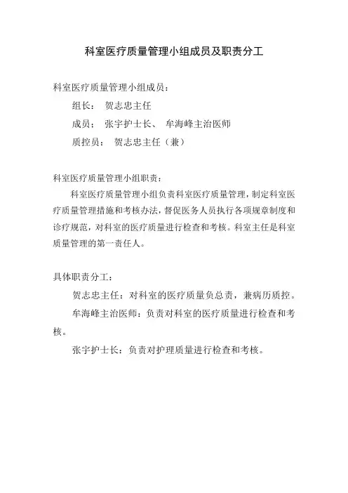 科室医疗质量管理小组成员及职责分工及检查整改记录2016