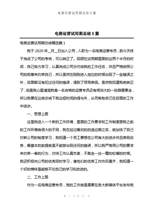 电商运营试用期总结5篇