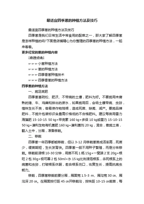 最适宜四季葱的种植方法及技巧