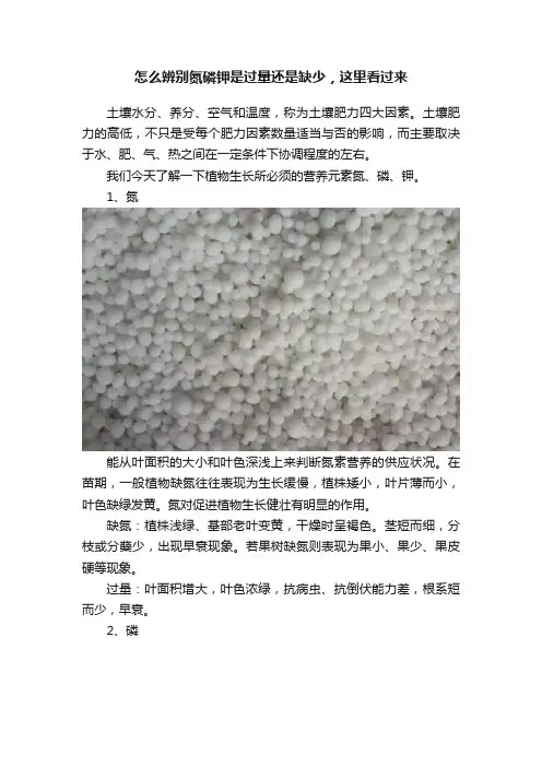 怎么辨别氮磷钾是过量还是缺少，这里看过来