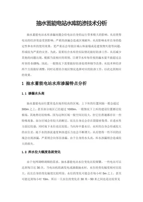 抽水蓄能电站水库防渗技术分析