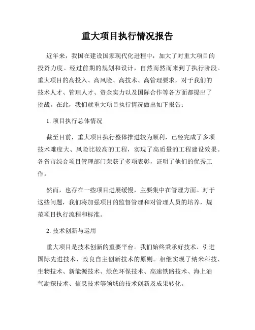 重大项目执行情况报告