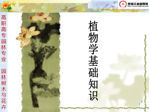 植物学基础知识PPT课件