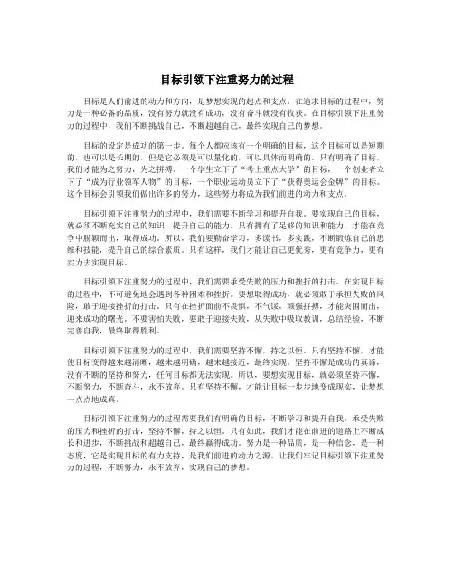 目标引领下注重努力的过程