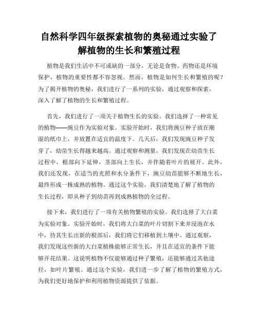自然科学四年级探索植物的奥秘通过实验了解植物的生长和繁殖过程