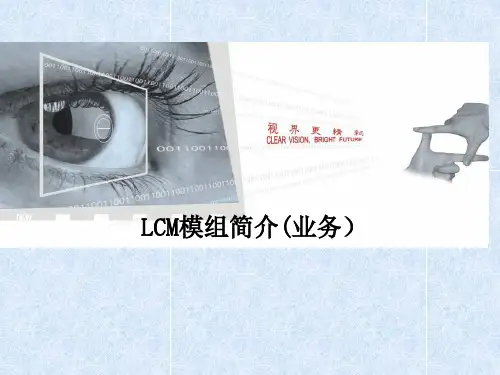 LCM模组简介 (1)
