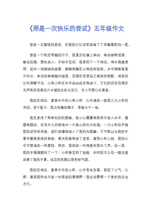 《那是一次快乐的尝试》五年级作文