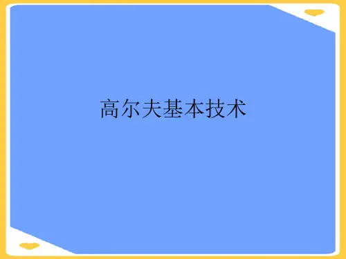 高尔夫基本技术.正式版PPT文档