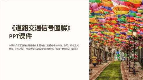 《道路交通信号图解》课件