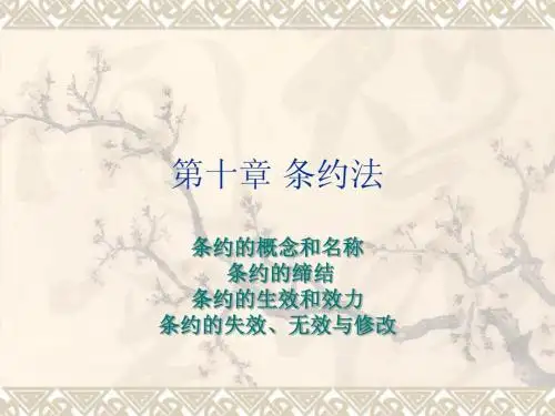 第十章： 条约法