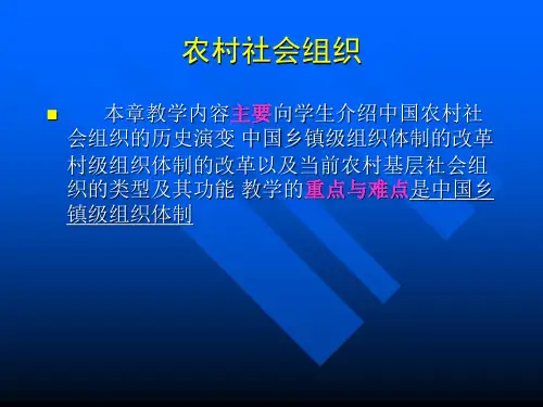农村社会组织
