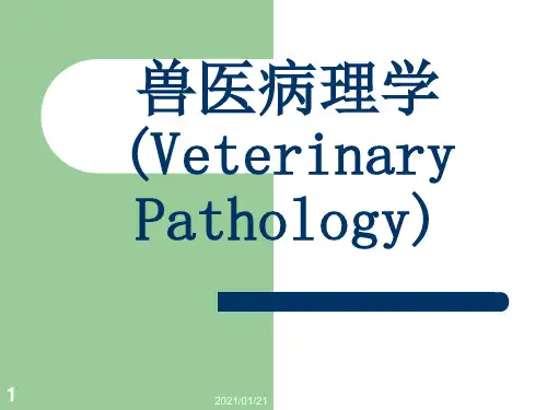兽医病理学-绪论PPT教学课件