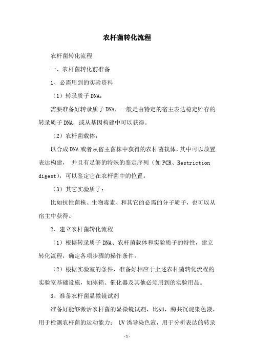 农杆菌转化流程