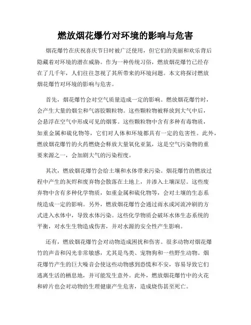 燃放烟花爆竹对环境的影响与危害