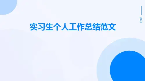 实习生个人工作总结范文PPT