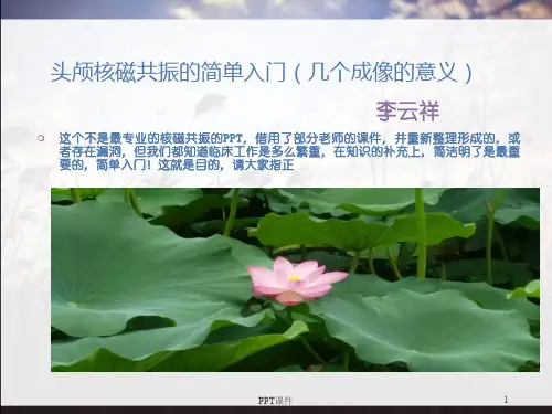 头颅核磁共振几个成像的意义  ppt课件