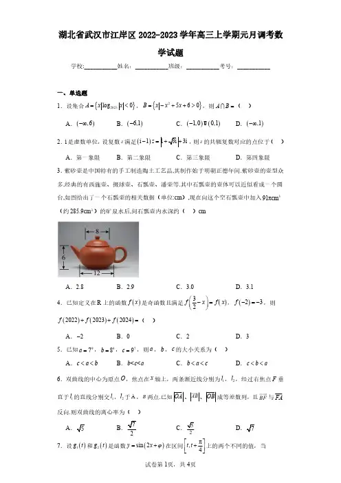 湖北省武汉市江岸区2022-2023学年高三上学期元月调考数学试题(含答案解析)