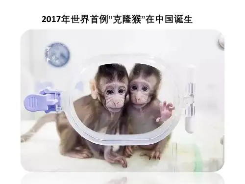选修三 第二章 第一节 什么是克隆 课件ppt（15张）