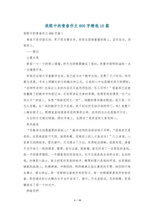 我眼中的青春作文800字精选10篇